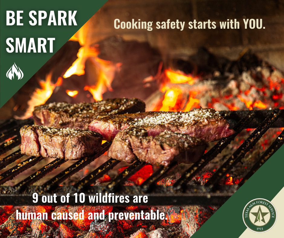 Wildfire Prevention Resources_Outdoor Cooking Safety